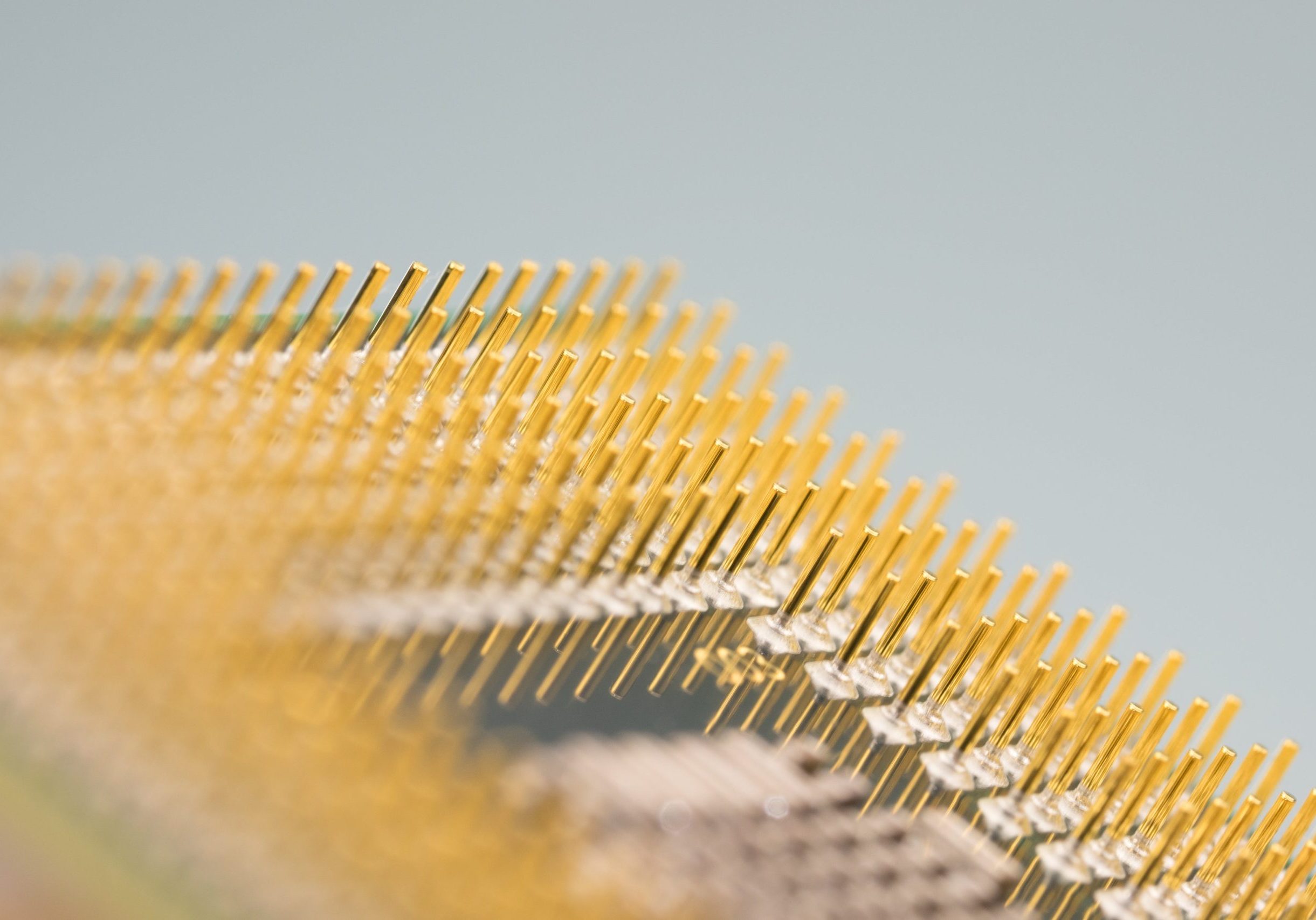 pexels-pixabay-270549